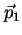 $\vec{p}_1$