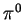 $\pi^{0}$