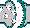 synani.gif (18229 bytes)